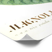 マグノリアIII (1750-1773) ポスター (角)