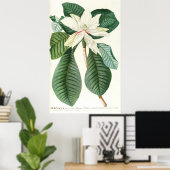 マグノリアIII (1750-1773) ポスター (ホームオフィス)