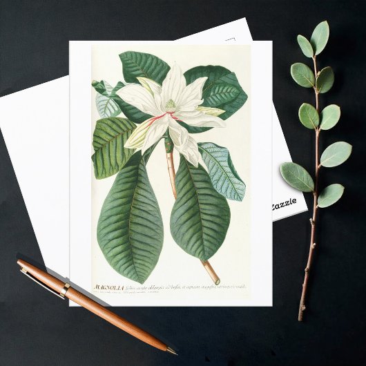 マグノリアIII (1750-1773) ポストカード