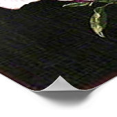 マグノリ日本のア ポスター (角)