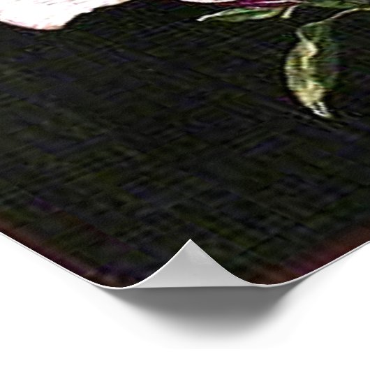 マグノリ日本のア ポスター (角)