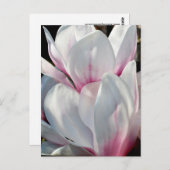 マグノ独身のリア花 ポストカード (正面/裏面)