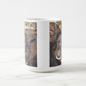 マグハスキーコリクロス コーヒーマグカップ (中央)