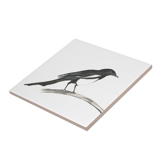 マグパイバード野生生物の水色自然かわいい タイル (側面)