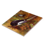 マグパイ タイル (側面)