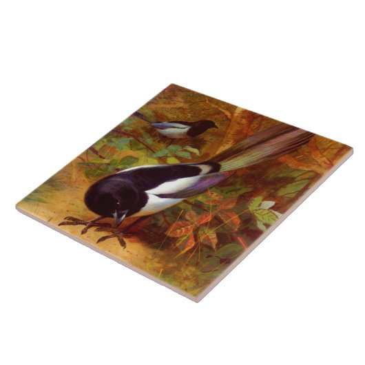 マグパイ タイル (側面)