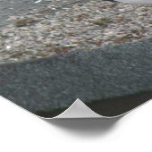 マグピープリント ポスター (角)