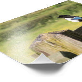 マグピー フォトプリント            (角)