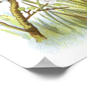 マグピー ポスター (角)