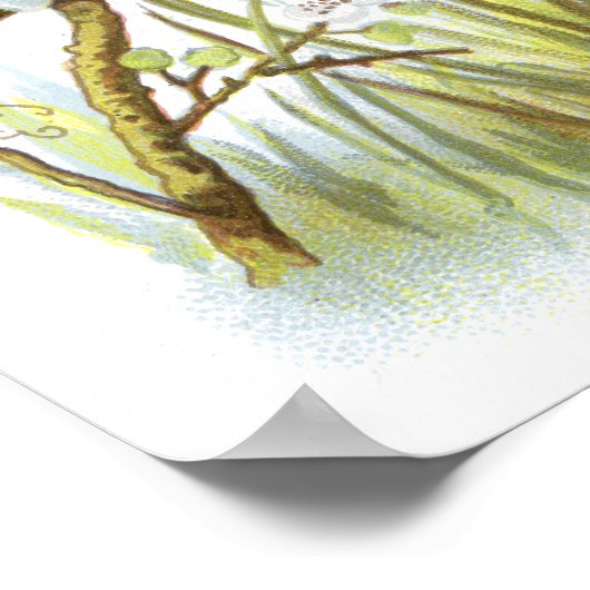 マグピー ポスター (角)