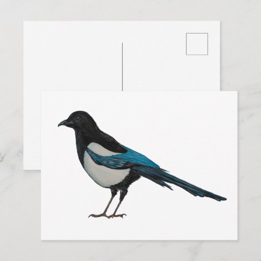 マグピー ポストカード (正面/裏面)