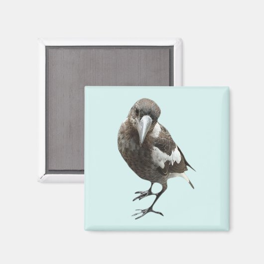 マグピ マグネット (正面/裏面)