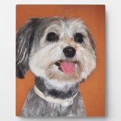 マグヤルヴィツラドッグ フォトプラーク (正面)