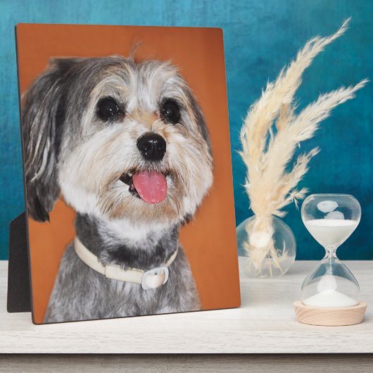 マグヤルヴィツラドッグ フォトプラーク (側面)