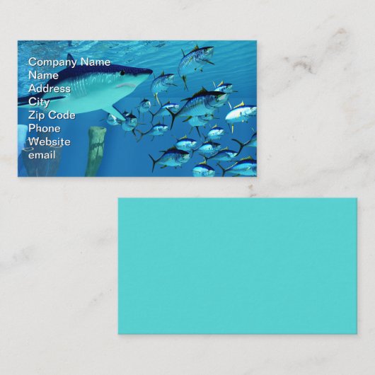 マグロの後を追うマコサメ 名刺 (正面/裏面)