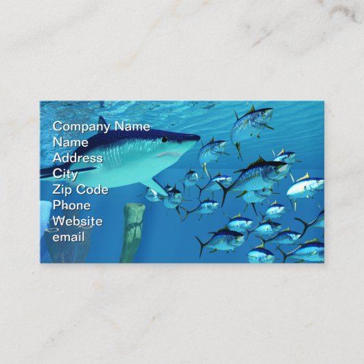 マグロの後を追うマコサメ 名刺 (正面)