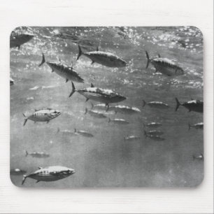 マグロの白黒水中写真 マウスパッド