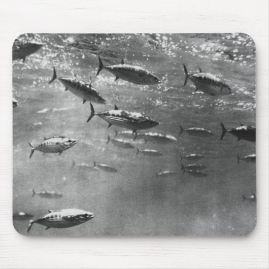 マグロの白黒水中写真 マウスパッド (正面)