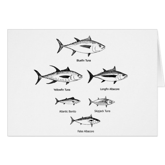 マグロ種のロゴ (正面横)