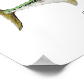 マグロ類の偽物 ポスター (角)