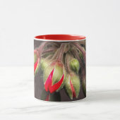 マグ開花赤と暗 マグカップ (中央)