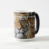 マグ・タイガー モーフィングマグカップ (正面右)