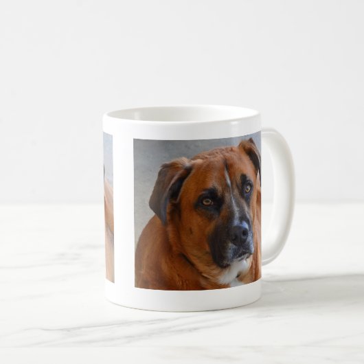 マグ – バクスター (正面右)