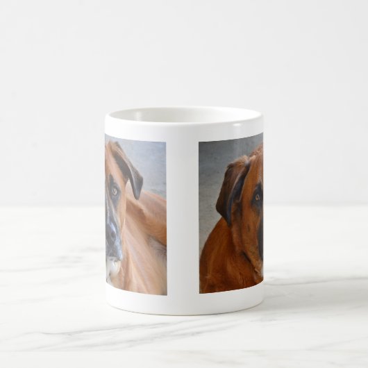 マグ – バクスター (中央)