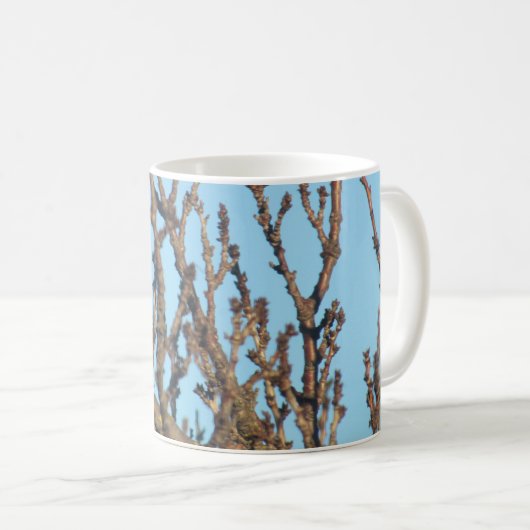 マグ – 裸の枝のロビン (正面右)