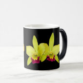 マグ、Cattyleyasの2つの変化 モーフィングマグカップ (正面右)