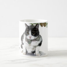 マグ: Felixの威厳があるでキャンプしている猫