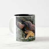 マグ:  PNWからのヒトデ愛 ツートーンマグカップ (正面左)