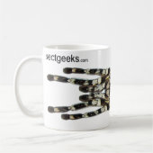 マグ- Poecilotheriaのregalis (インドのOrnamental) コーヒーマグカップ (左)