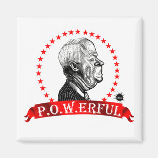 マケイン – 痛い。マグネット マグネット