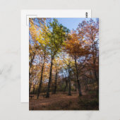 マケドニア・ロッティーノ ポストカード (正面/裏面)