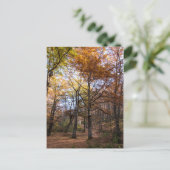 マケドニア・ロッティーノ ポストカード (スタンド正面)