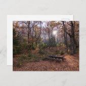 マケドニア・ロッティーノ ポストカード (正面/裏面)