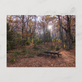 マケドニア・ロッティーノ ポストカード