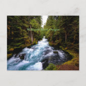 マケンジー川，オレゴン，風光明媚な写真 ポストカード (正面)