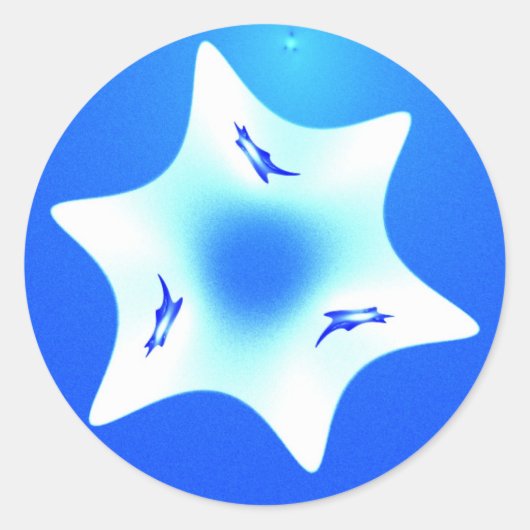 マゲン・ラヴァン（ホワイトスター） ラウンドシール (正面)