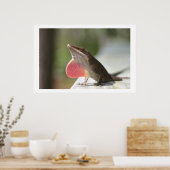 マコアノール ポスター (キッチン)