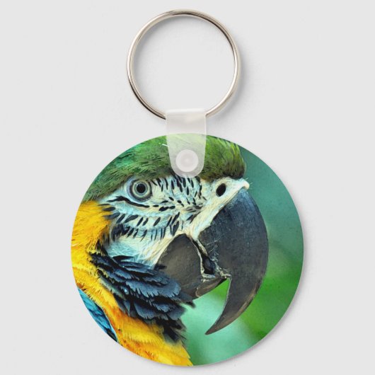 マコカラフルウ キーホルダー (正面)