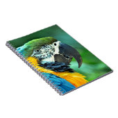 マコカラフルウ ノートブック (右側)