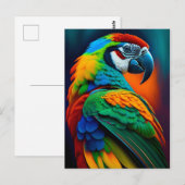 マコカラフルーオウム絵画鳥 ポストカード (正面/裏面)