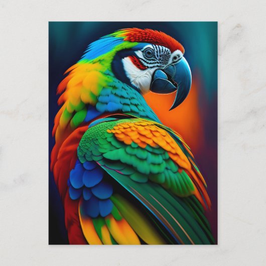 マコカラフルーオウム絵画鳥 ポストカード (正面)
