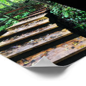 マコケタケイブズ州パーク階段 ポスター (角)