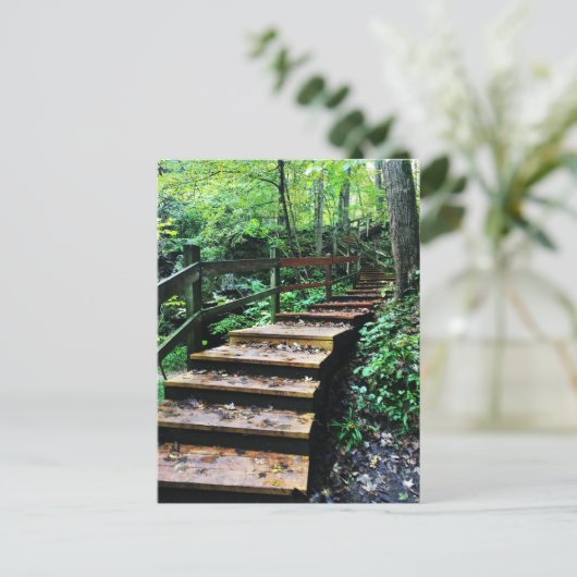 マコケタケイブズ州パーク階段 ポストカード (スタンド正面)