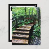 マコケタケイブズ州パーク階段 ポストカード (正面/裏面)