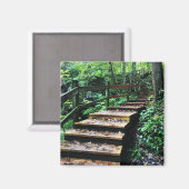 マコケタケイブズ州パーク階段 マグネット (正面/裏面)