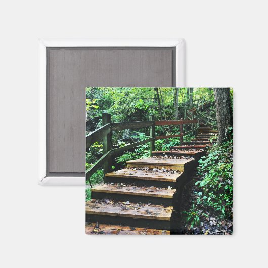 マコケタケイブズ州パーク階段 マグネット (正面/裏面)